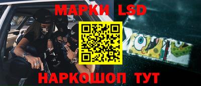 стафф Новокубанск