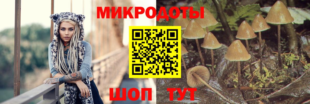 Галлюциногенные грибы прущие грибы  Псилоцибиновые грибы Psilocybe  Спасск-Дальний  Вход с VPN 